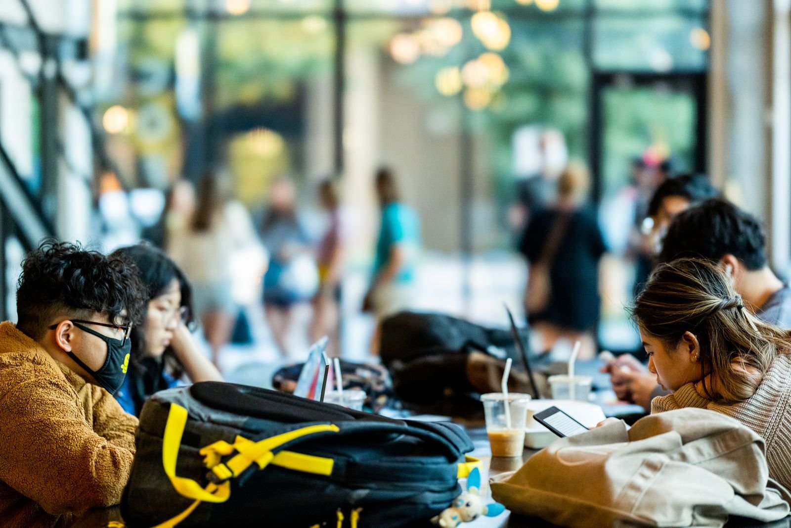 Diverse university students studying together outdoors